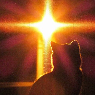 Telegram profile photo for hope and dreams