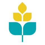 Telegram profile photo for کنجد | محصولات سالم و طبیعی