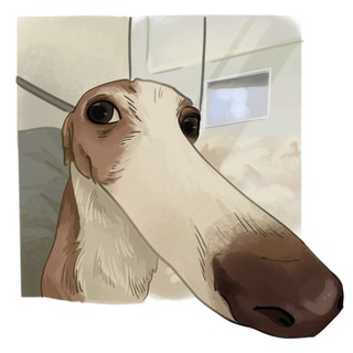Telegram profile photo for Потатос