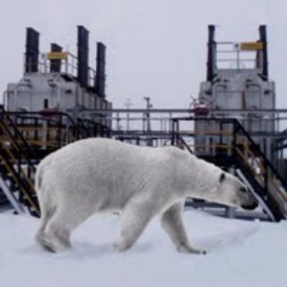 Telegram profile photo for Мишка на Севере