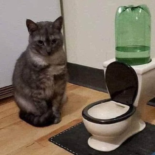 Telegram group profile photo for не симочка чат