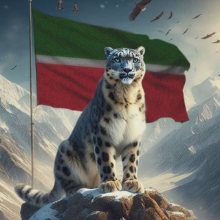 Telegram profile photo for Спортивная сплетница