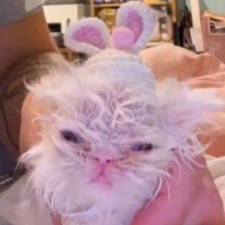 Telegram profile photo for домик гномика