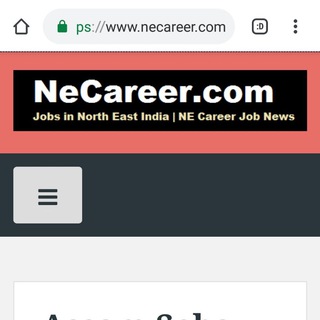 Telegram profile photo for NeCareer.com
