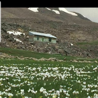 Telegram profile photo for بی بی کوهسار چاران