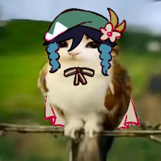 Telegram profile photo for Чихуахуя(!)🫧🍃
