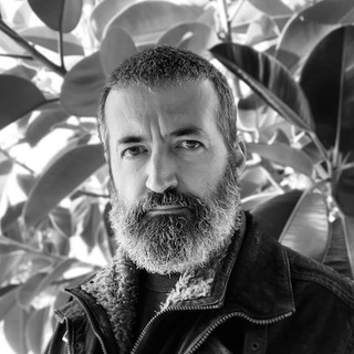 Telegram profile photo for Notícias e Opiniões de Miguel Montenegro