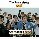 Telegram profile photo for arsip scarz๐ป