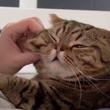 Telegram profile photo for Pinch 🤏