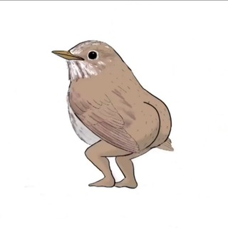 Telegram profile photo for Птичкин док