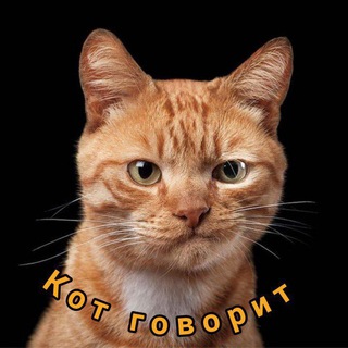 Telegram profile photo for Кот говорит