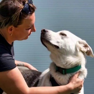 Telegram profile photo for ZOOHELP_DOGS ПОМОЩЬ ЖИВОТНЫМ
