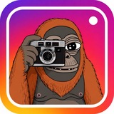 Telegram profile photo for TRENCHR | TRNCHRGRAM