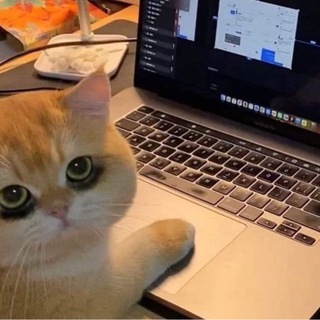 Telegram profile photo for senpai/やめてください