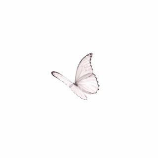Telegram profile photo for سـجـى سـلامـه