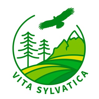Telegram profile photo for Vita Sylvatica