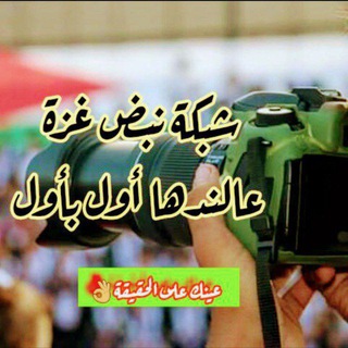 Telegram profile photo for شبكة نبض غزة الإخبارية