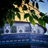 Telegram profile photo for FOREVER PALESTINE