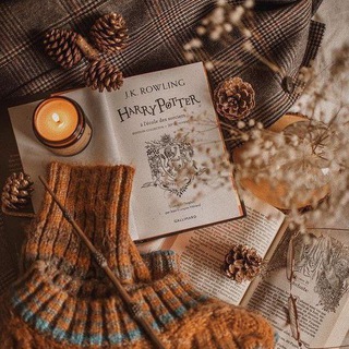 Telegram profile photo for Books are Life📚🍂