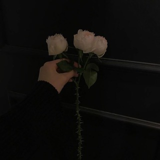 Telegram profile photo for ٧سبتمبر .