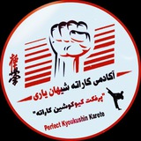Telegram profile photo for آکادمی کاراته شیهان یاری