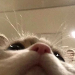 Telegram profile photo for TUKER GRUP TELE 2020-2023! OPEN!