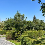 Telegram profile photo for کانال روانپزشکی دکتر ربانی زاده