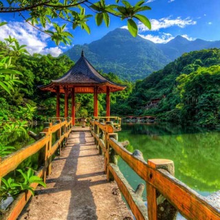 Telegram profile photo for TÀI KHOẢN MẠNG XÃ HỘI - 0708479999