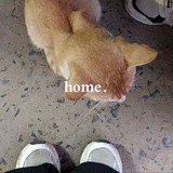 Telegram profile photo for hope