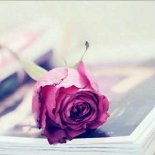 Telegram profile photo for يـا وردتـي 🌹