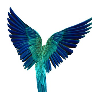 Telegram profile photo for Golden.cage13