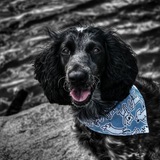 Telegram profile photo for балбесы 2.0