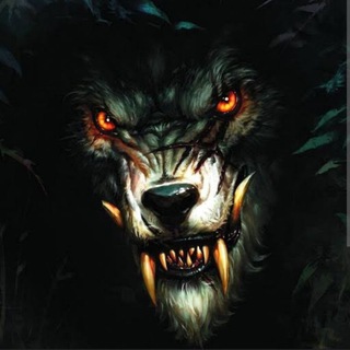 Telegram profile photo for Chaser⚡️Calls🤙💎