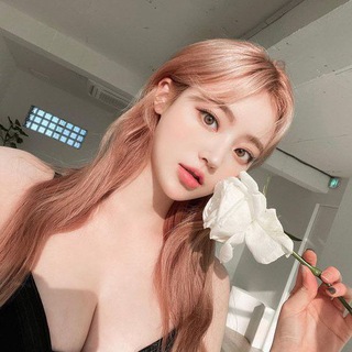 Telegram profile photo for BÁNH MỲ KẸP CODE VIP