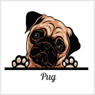 Telegram group profile photo for PUG 🐶🔥
