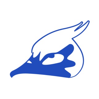 Telegram profile photo for Team Drozd