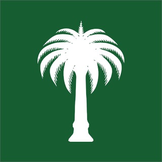 Telegram profile photo for Palm USD