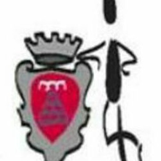 Telegram profile photo for InComune Montevarchi