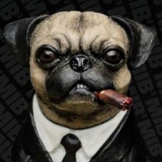 Telegram profile photo for честные новости рэпа