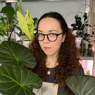 Telegram profile photo for ☘️Пятый угол| Дневник о растениях ☘️