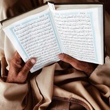 Telegram profile photo for الوَدقْ.