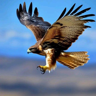 Telegram profile photo for የካ ክፍለ ከተማ ት/ፅ/ቤት mereja