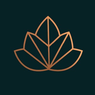 Telegram profile photo for BestApp