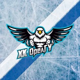 Telegram profile photo for ХК ОрёлГУ