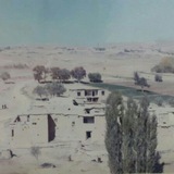 Telegram profile photo for کانال رسمی گل تپه