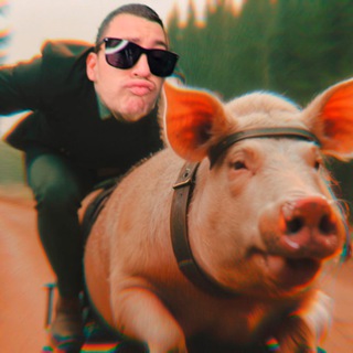 Telegram profile photo for Крымский Ёжик