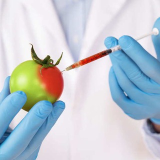 Telegram profile photo for 💢Genfood News - Was essen wir da?