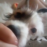 Telegram profile photo for я немного в шоке