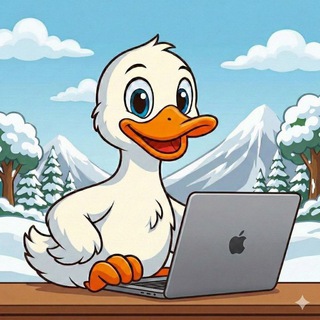 Telegram profile photo for VPN DUCKS