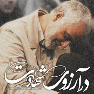 Telegram profile photo for "دࢪآرزوۍشــهـــادت³¹³"